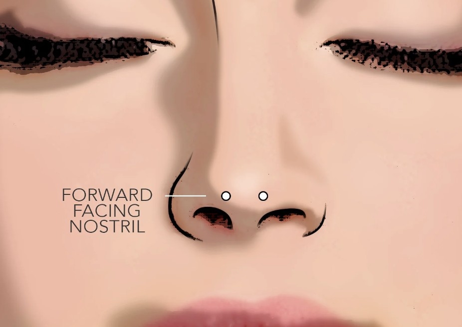 Mantis Nose Piercing