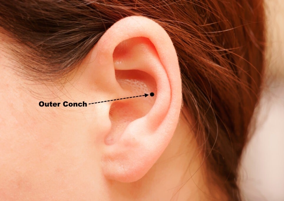 Outer Conch Ear Piercing
