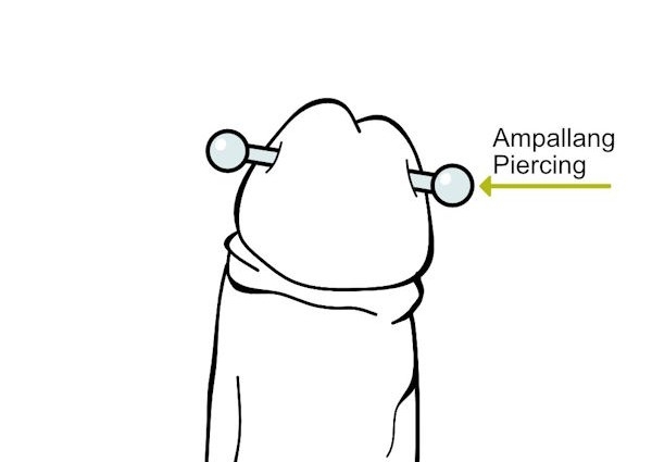 Ampallang Piercing
