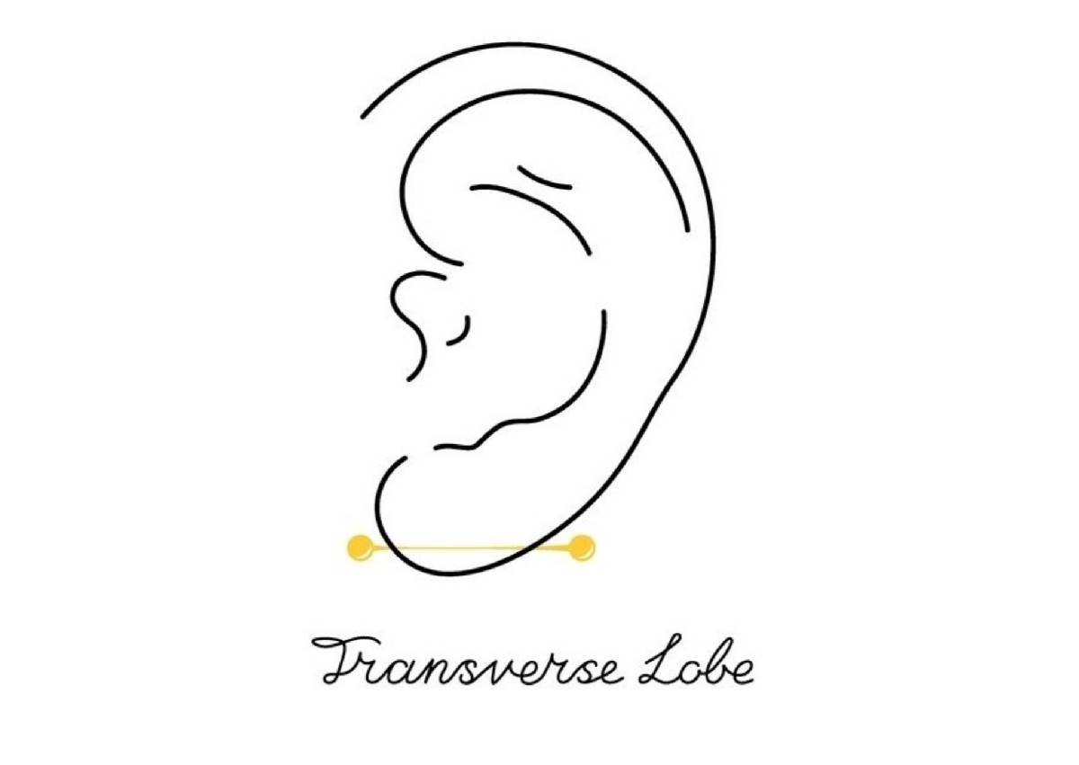 Transverse Lobe Ear Piercing