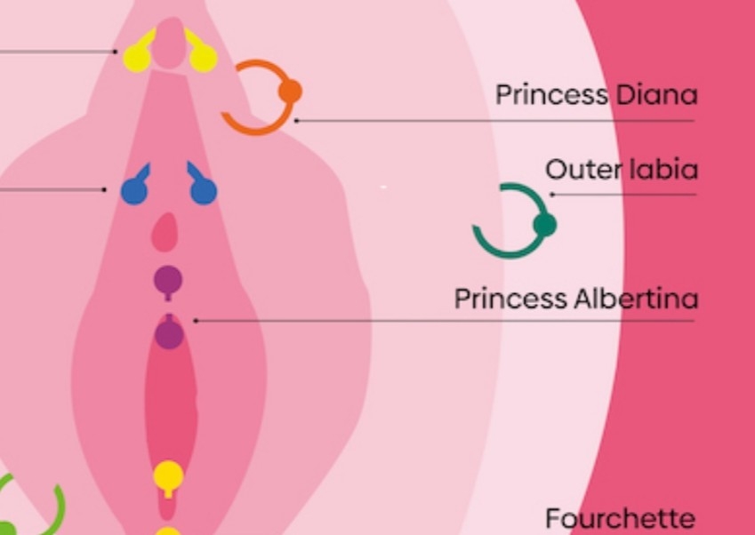 Princess Albertina Piercing