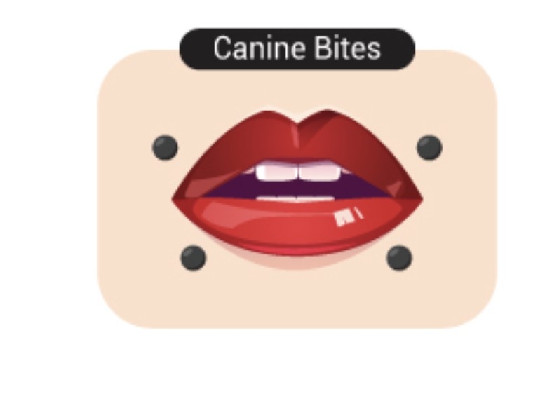 Canine Bites Lip Piercing
