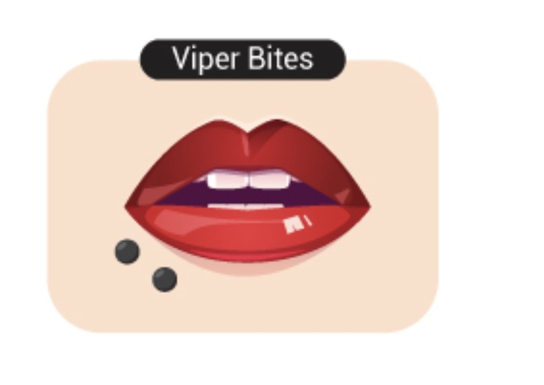 Viper Bites Lip Piercing 