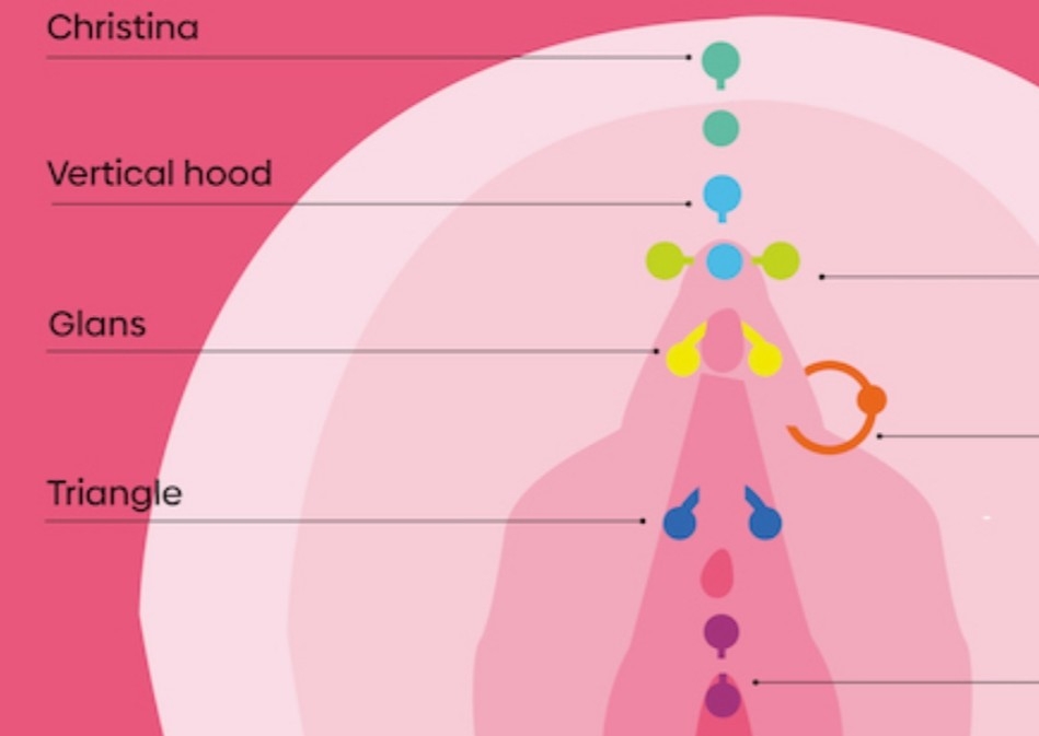 Vertical Clitoral Hood Piercing
