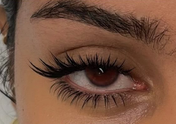 Bottom lashes 
