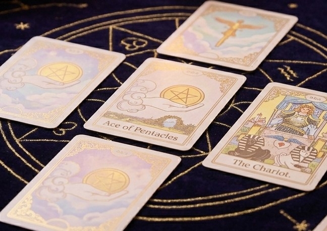 SALE!! OFERTA!! Career / Carrera 