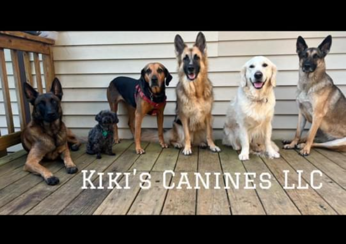 Consultation:                           Meet and Greet!🐾