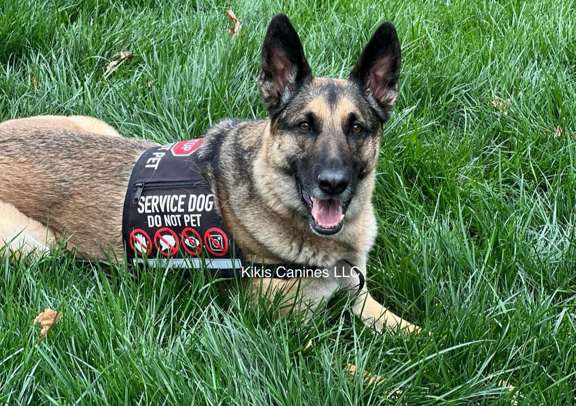 Service Dog Class🐾