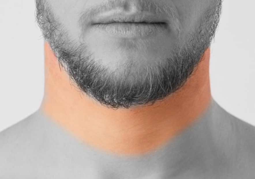 Full neck front & back 