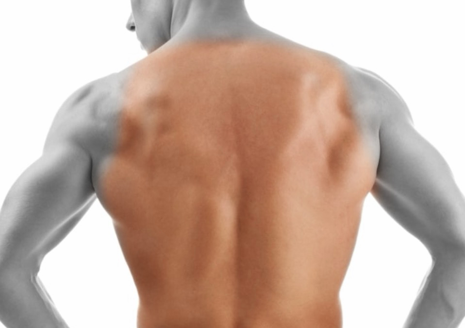 Full Back 