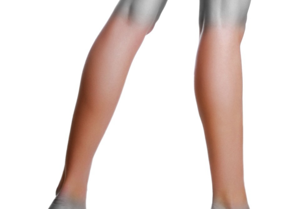 Lower Half legs & toes