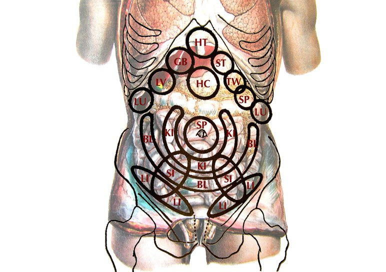 Visceral Reset Therapy 🌀