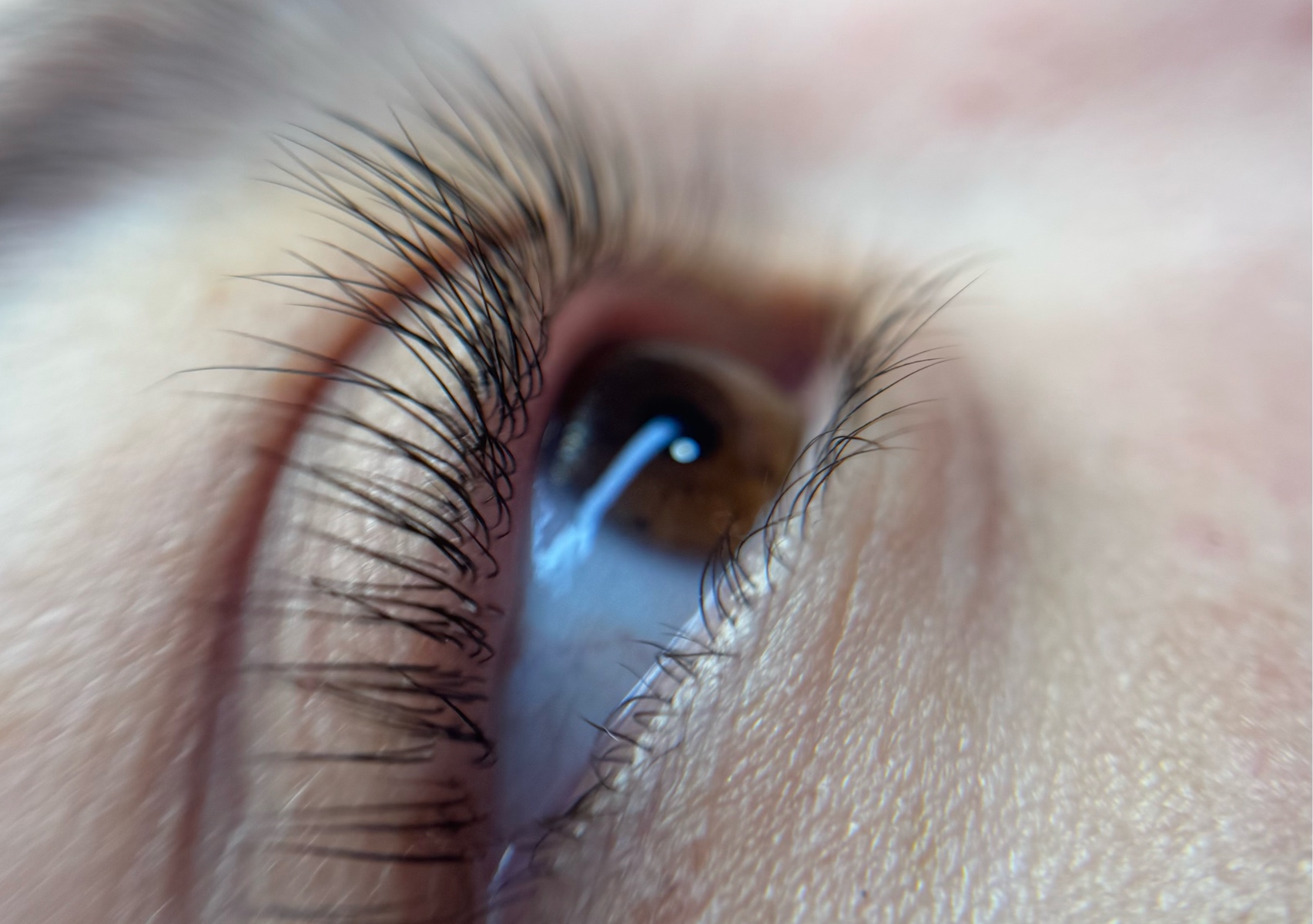 Lash lifting + hydragloss