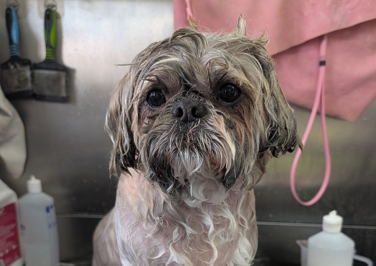 wash (4/5)