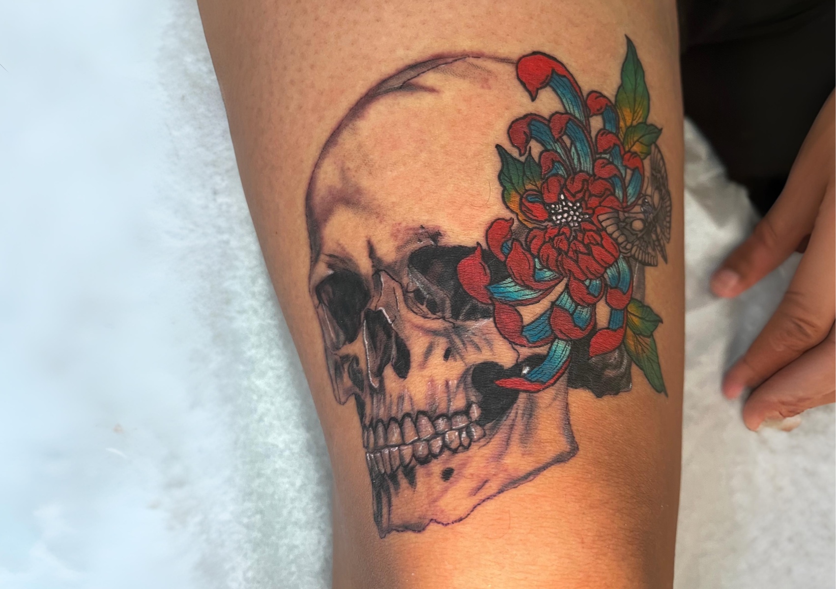 𝐌𝐞𝐝𝐢𝐮𝐦 𝐓𝐚𝐭𝐭𝐨𝐨