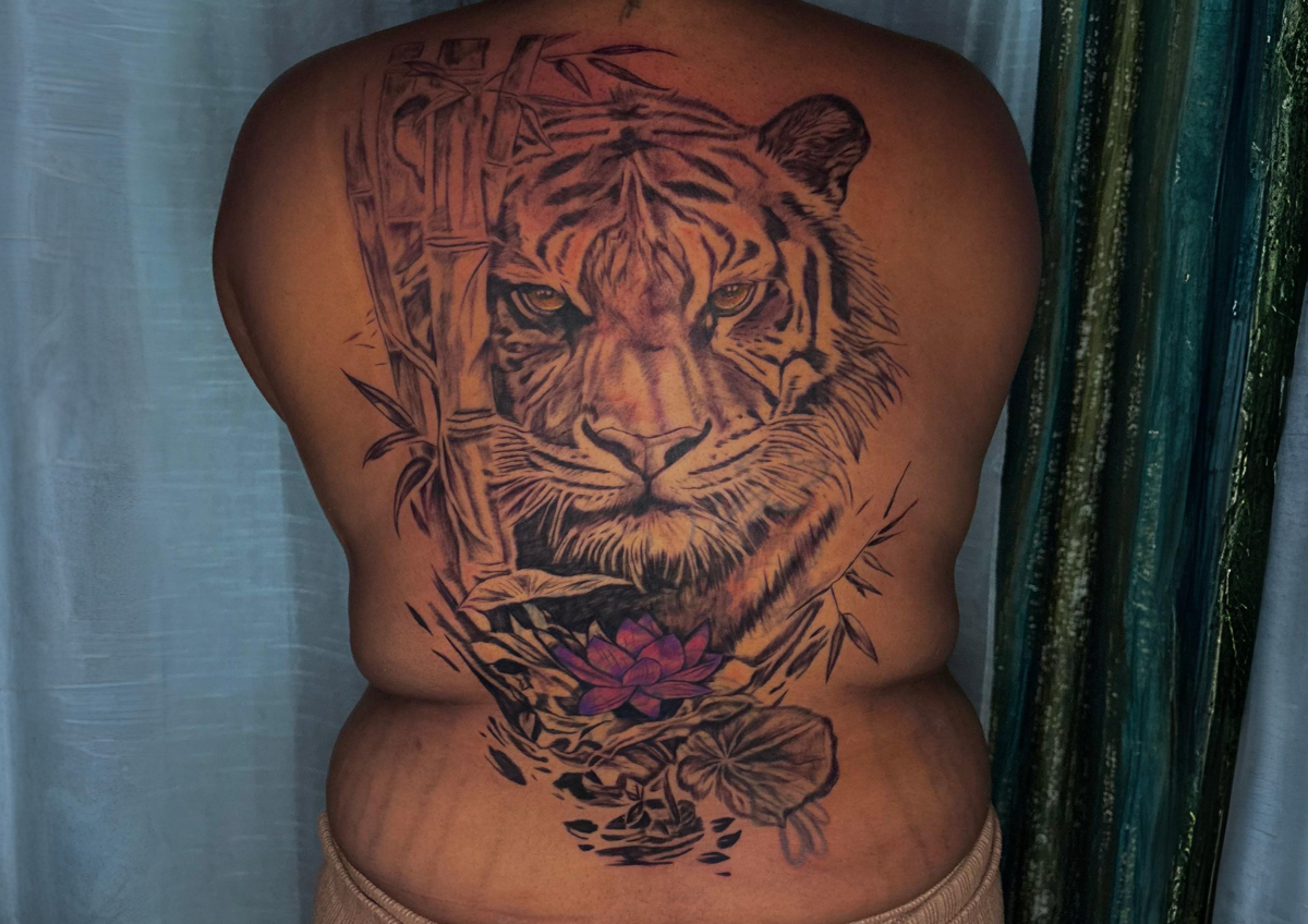 𝐗𝐋 𝐂𝐨𝐯𝐞𝐫 𝐔𝐩