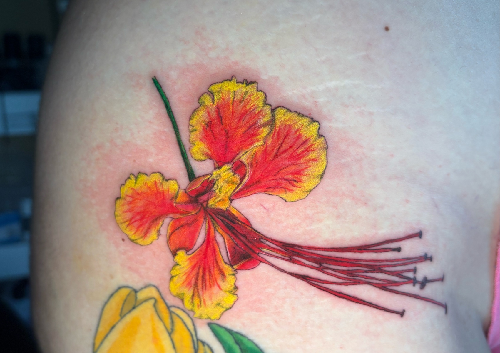 𝐒𝐦𝐚𝐥𝐥 𝐓𝐚𝐭𝐭𝐨𝐨