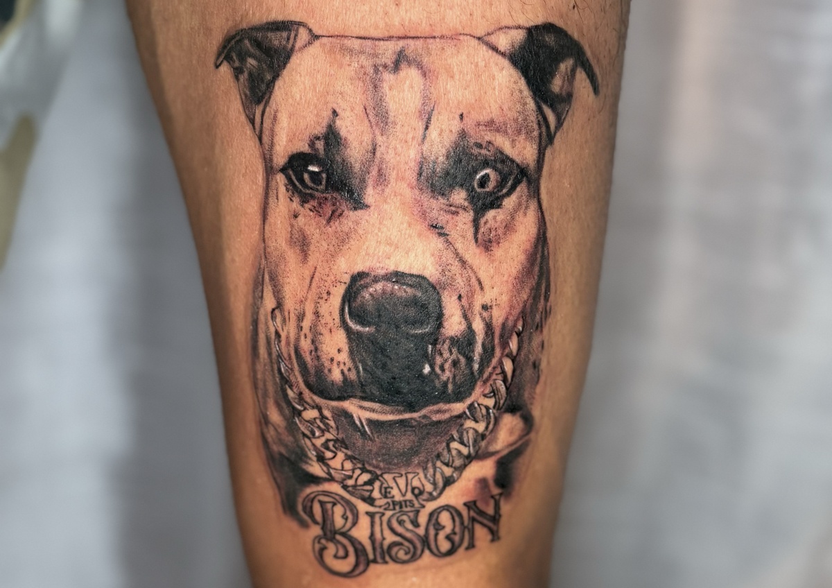 𝐌𝐞𝐝𝐢𝐮𝐦 𝐓𝐚𝐭𝐭𝐨𝐨