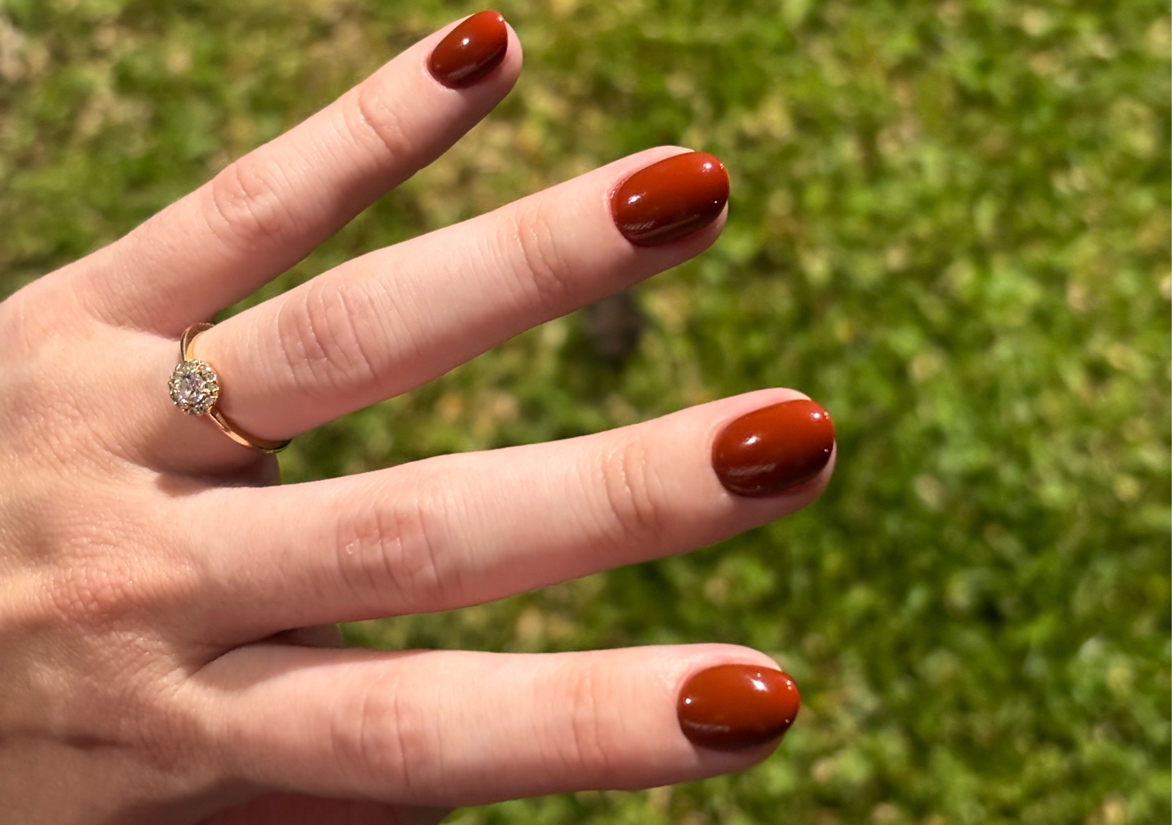 Manicura combinada (un color) 