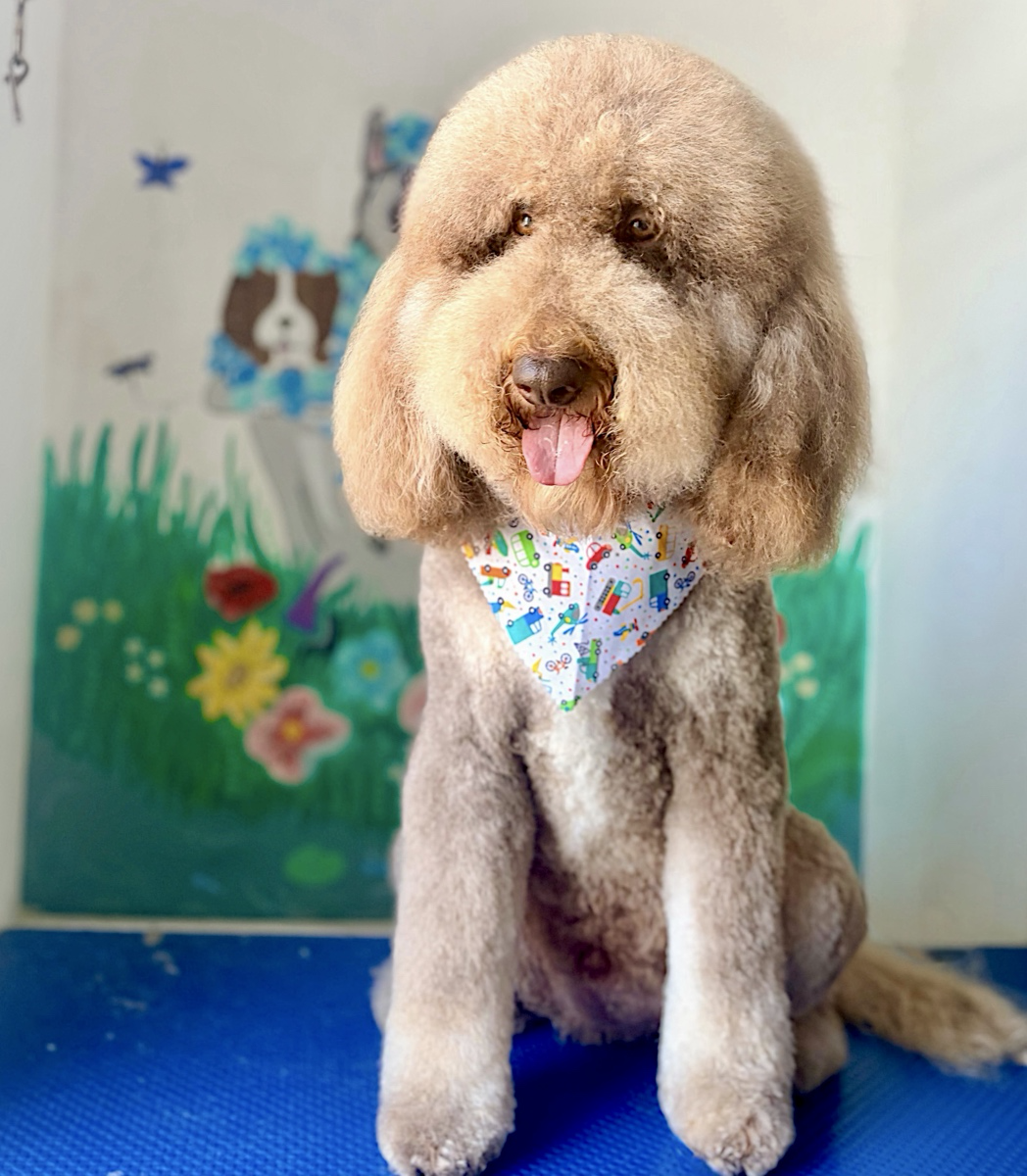 Full Groom Bundle  (Save £10)
