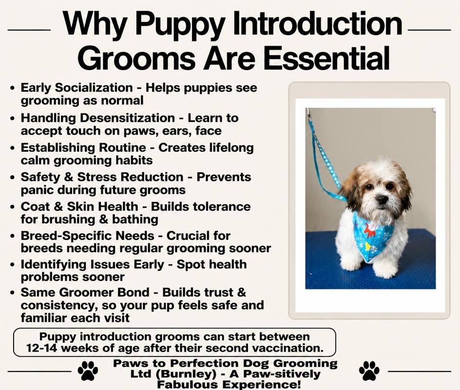 Introduction Puppy Package