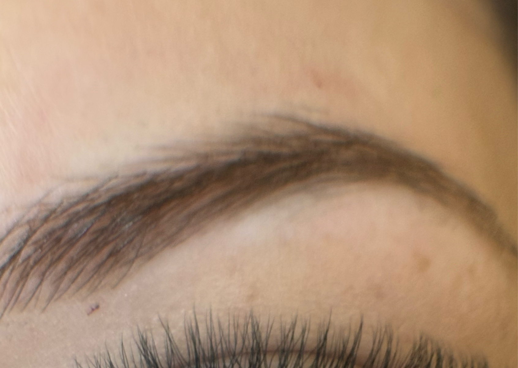 Eyebrows