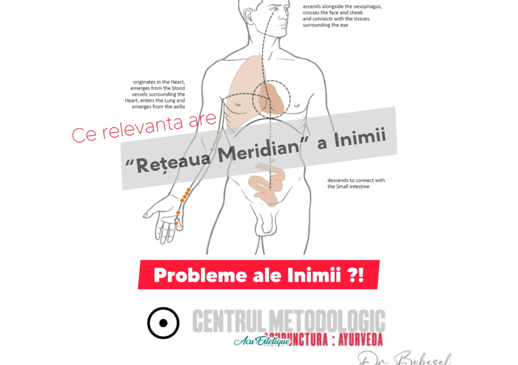 Tulburări Emotionale 6 sedinte