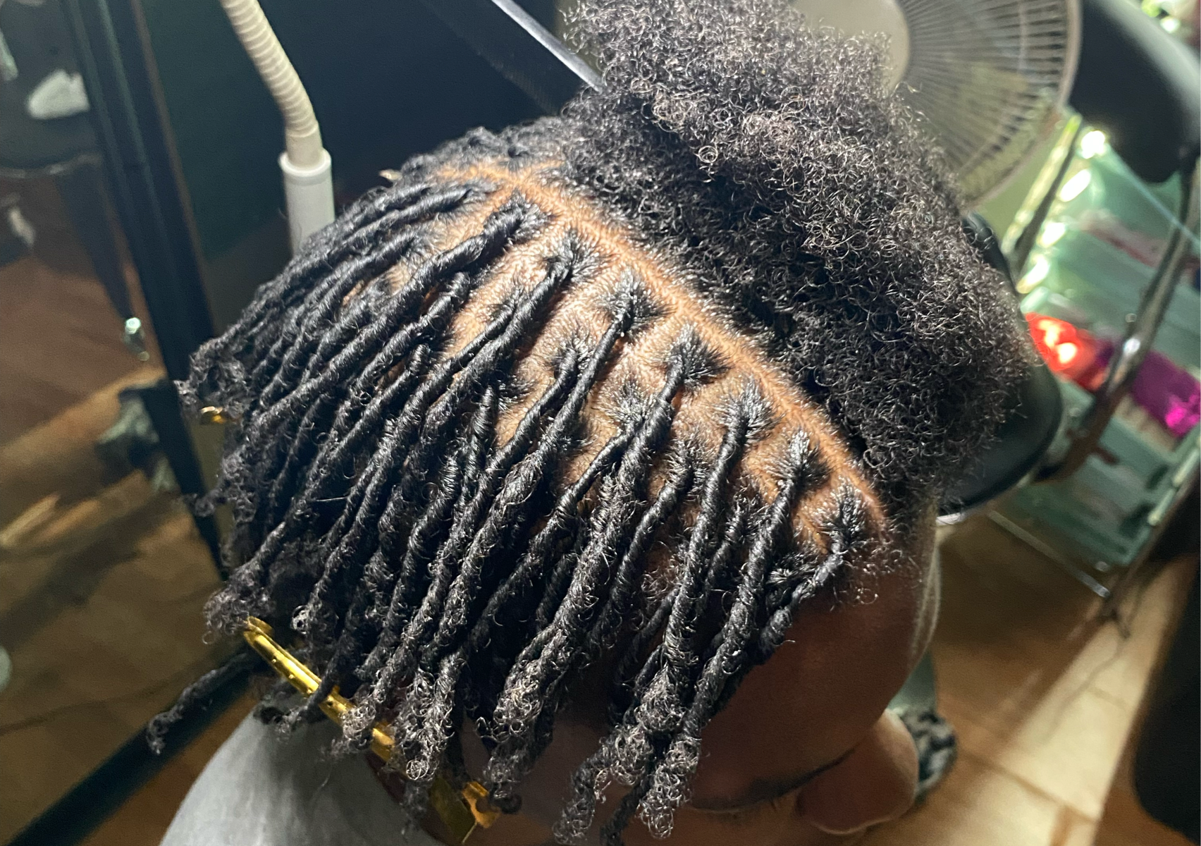 Starter Locs