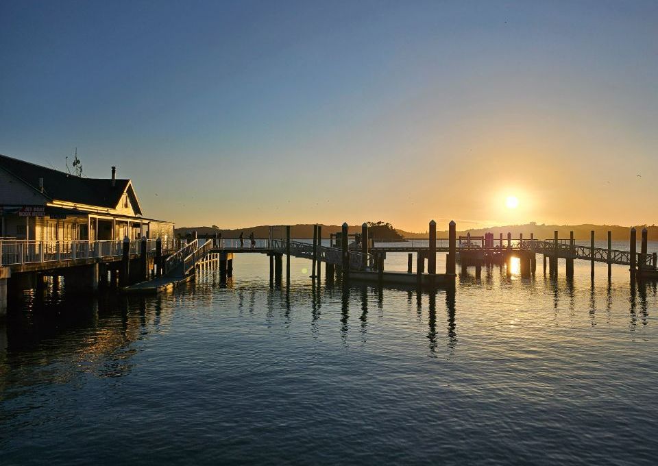 Early Bird Flight NZ5275 (from Paihia)