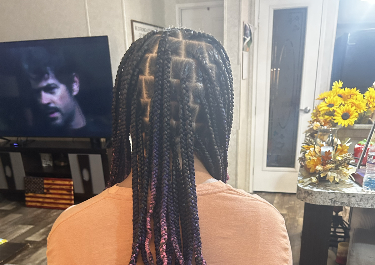 Medium Knotless (1/2)