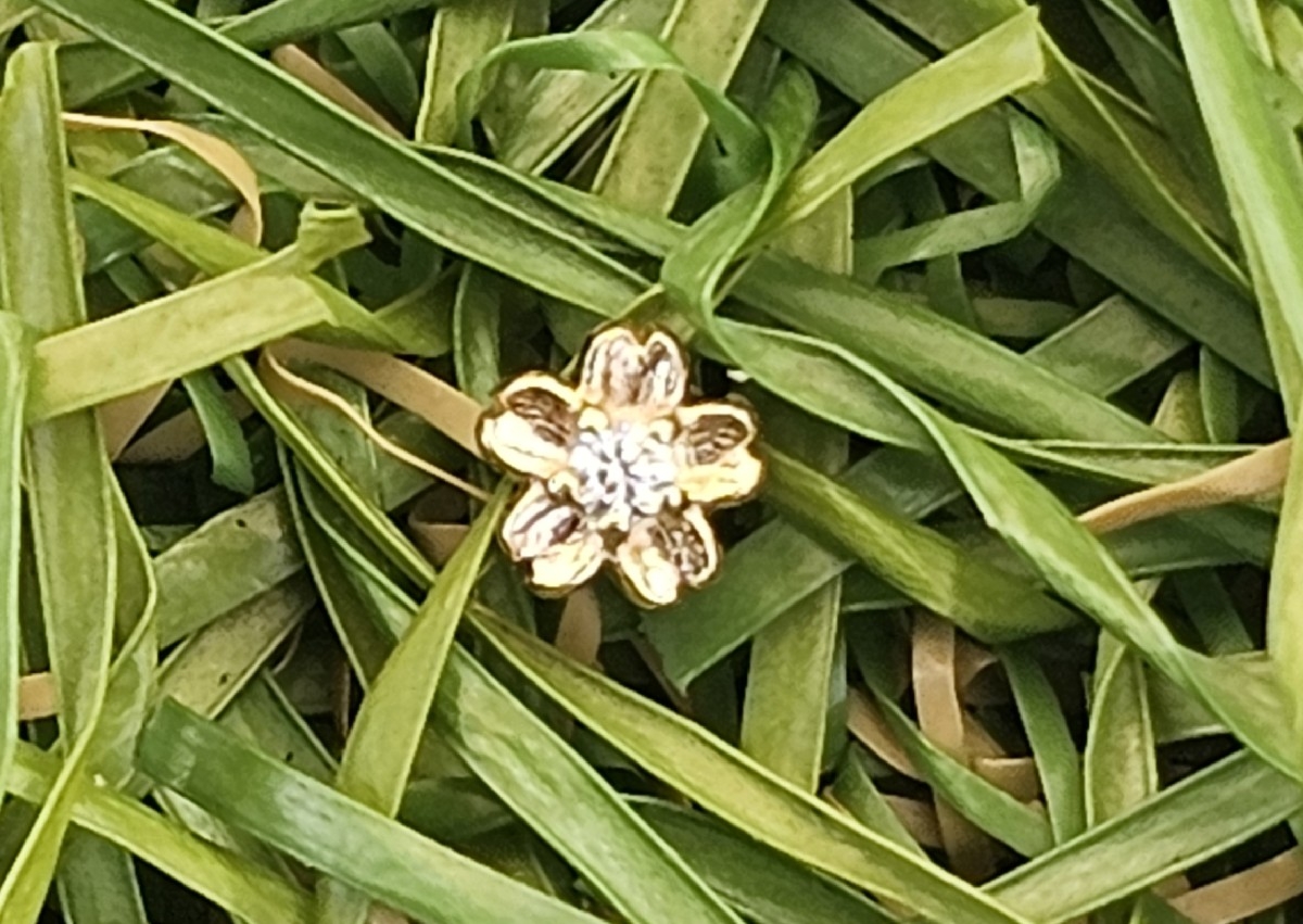 White cz cherry blossom solod 14ct yellow gold