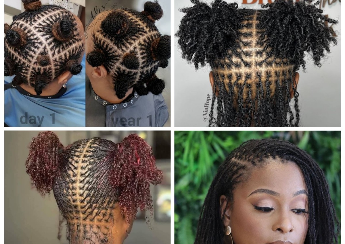 Micro twist/Sister Locs
