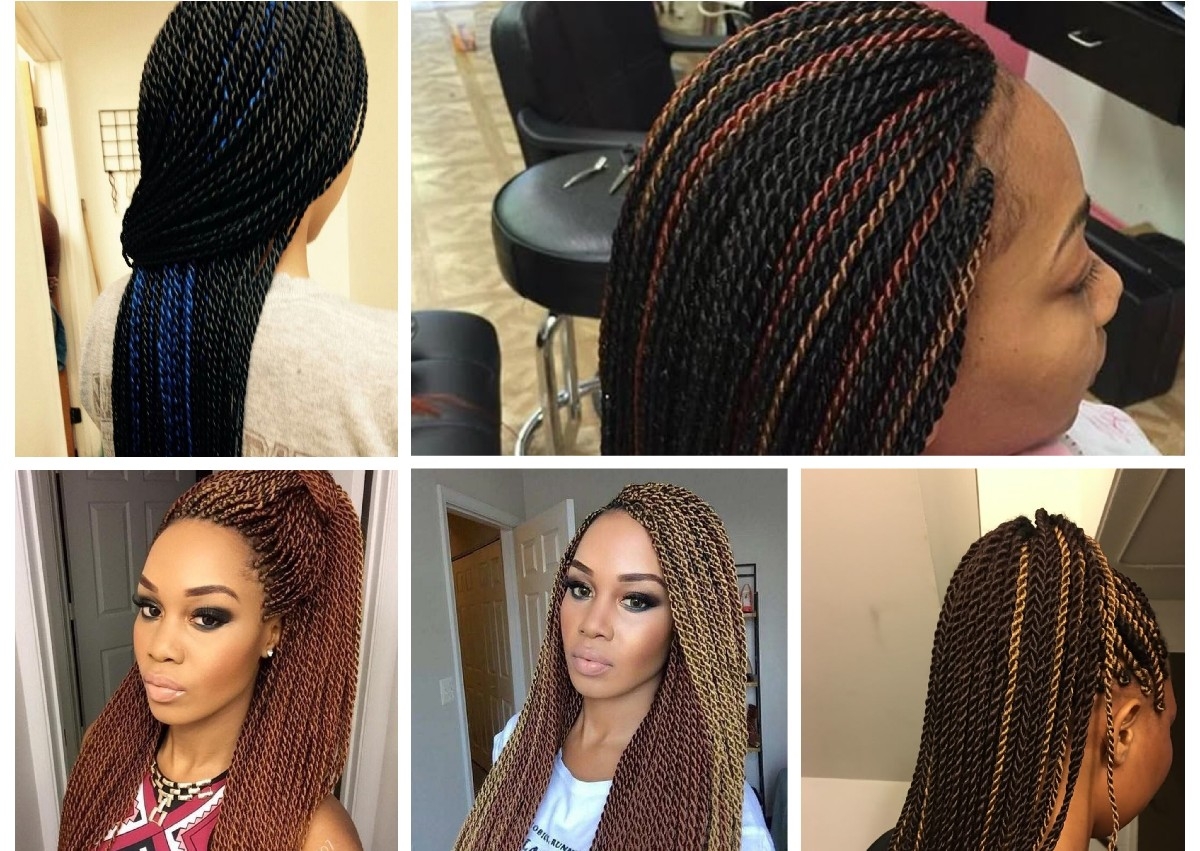 Twist Braids-Small