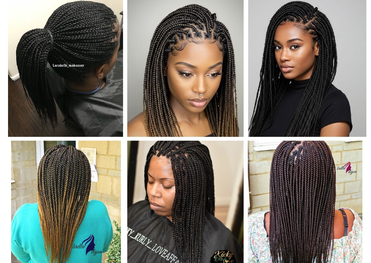 Medium Box Braids-Shoulder Length 