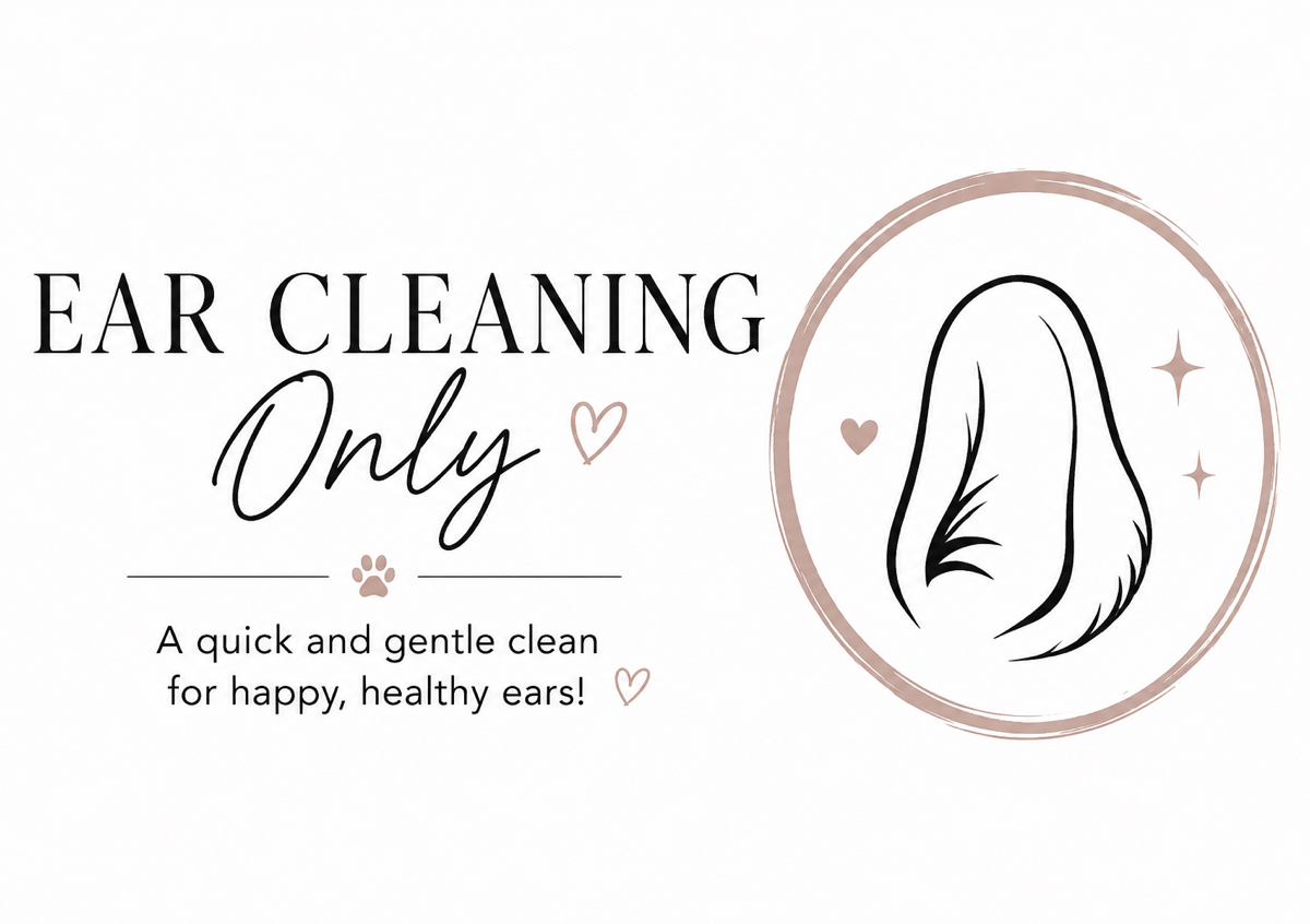 Ear Cleaning ONLY