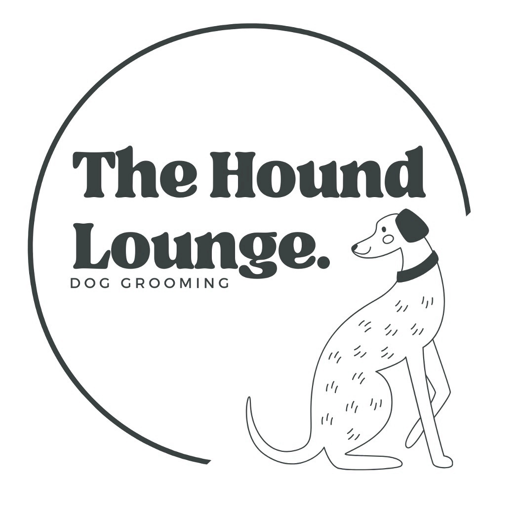 Should I open or buy a Hounds Lounge franchise in 2027?