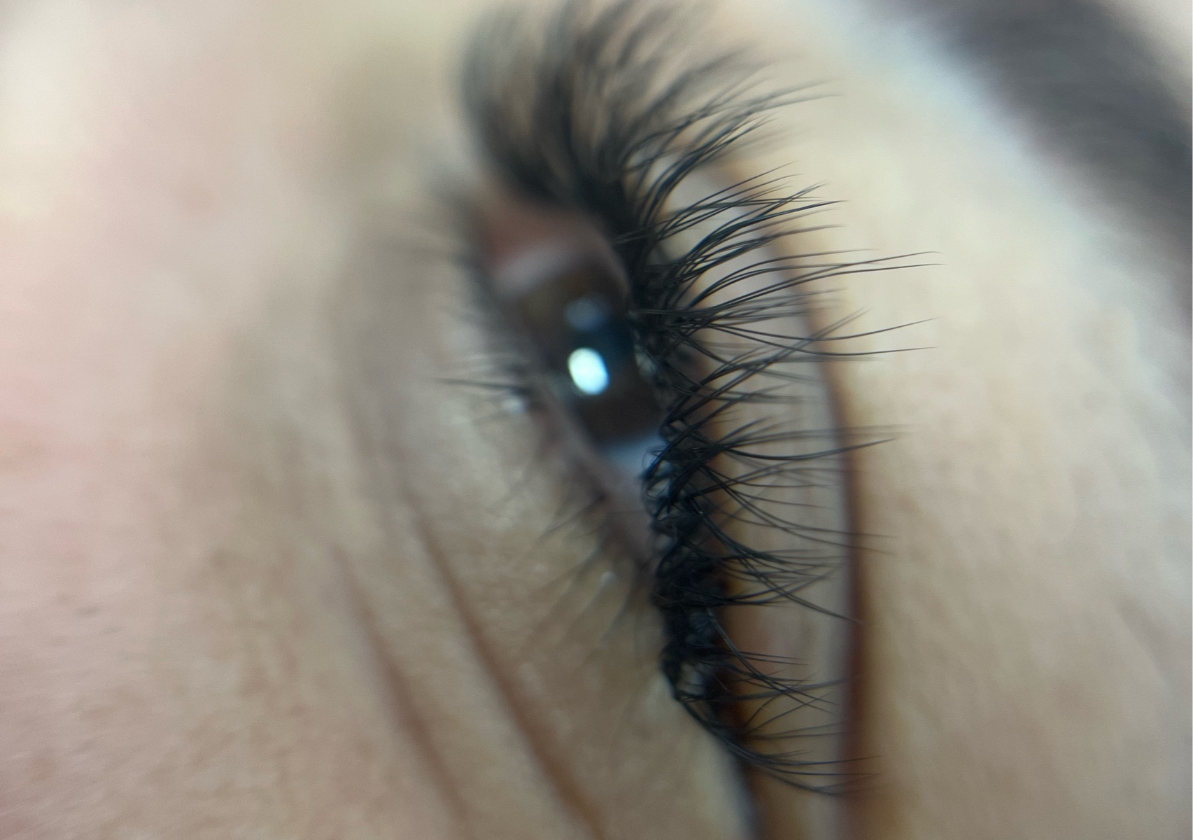 Full set pestañas YY