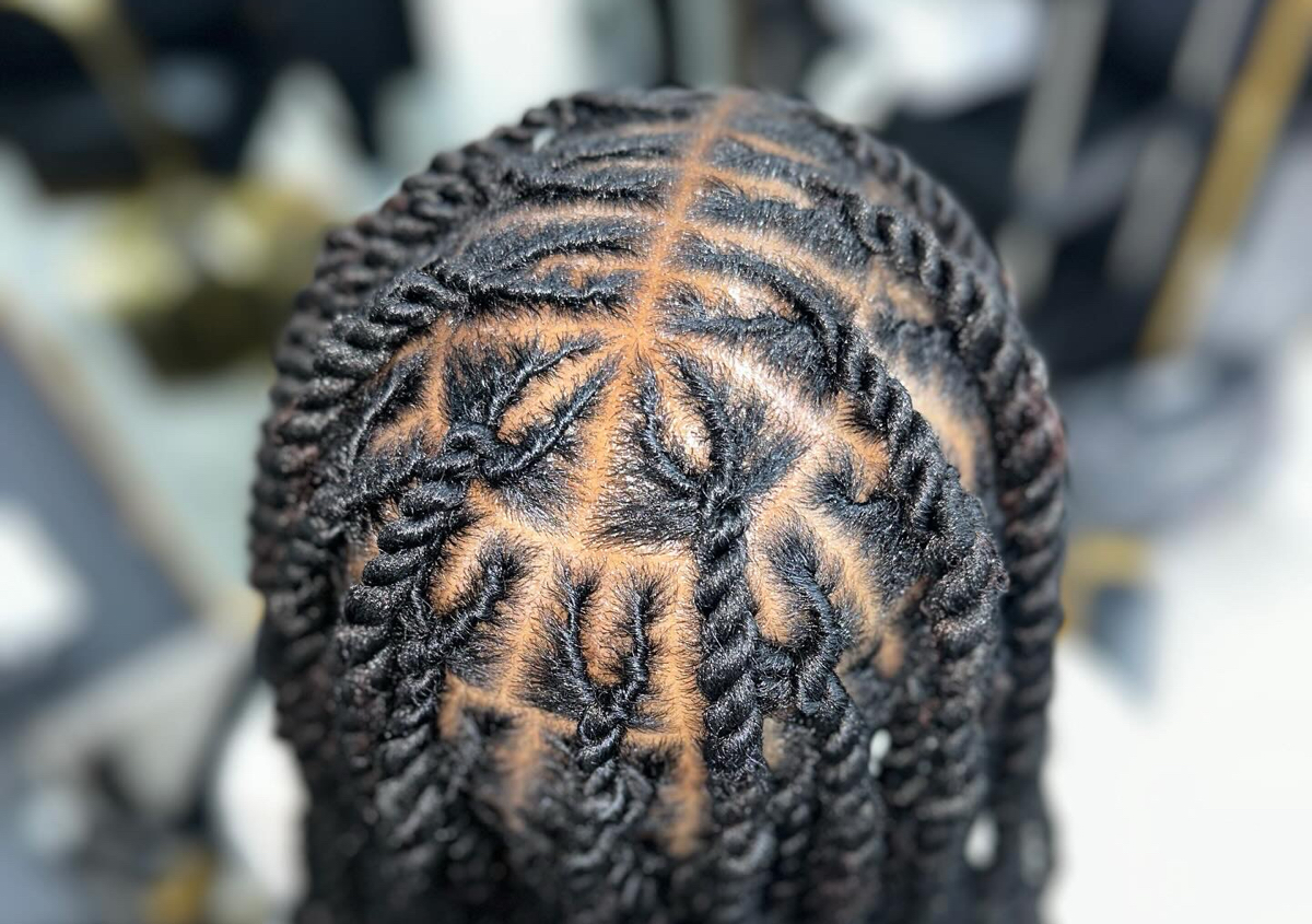 Invisible Locs (twists)