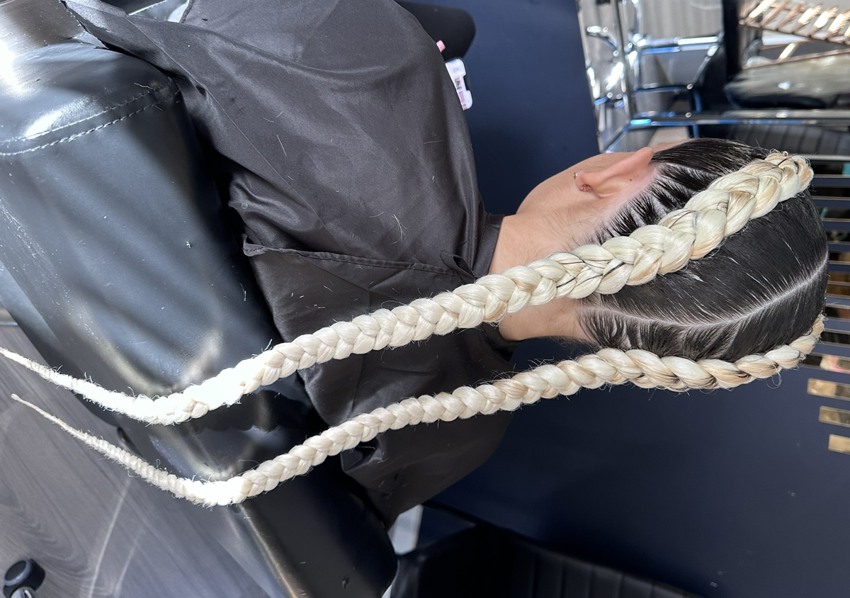Take Down Braids  (3/3)