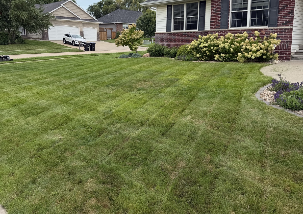 Lawn care