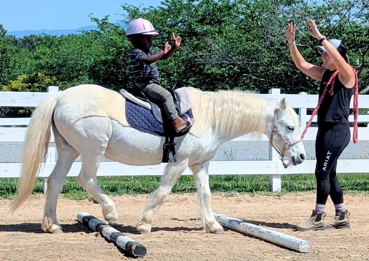 1/2 Hour Therapeutic Riding Lesson
