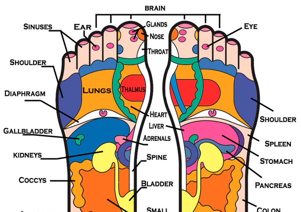 Reflexology 🦶