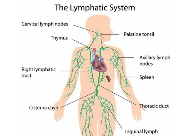 Lymphatic Drainage