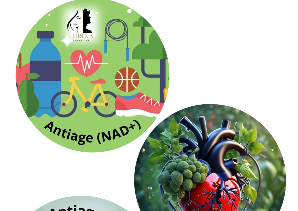 Antiedad NAD+ / Antiage NAD+