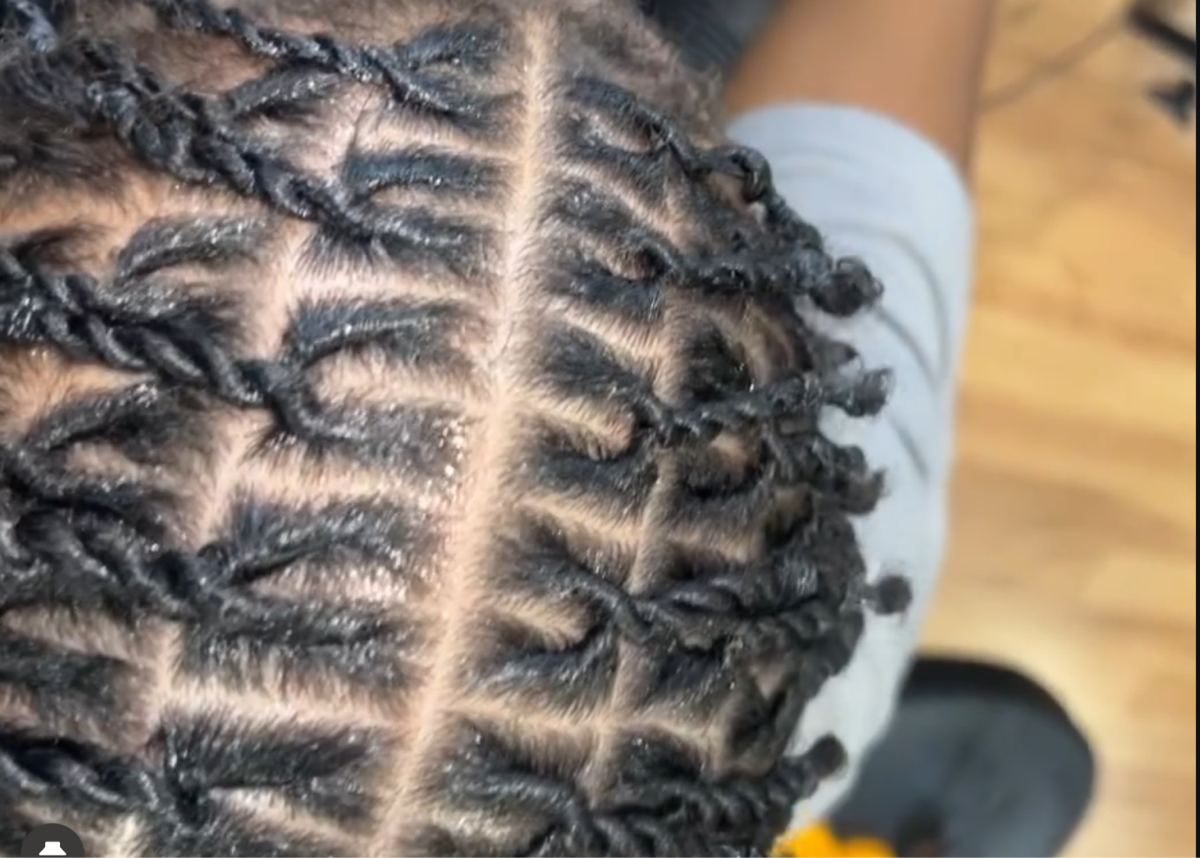 Starter Locs