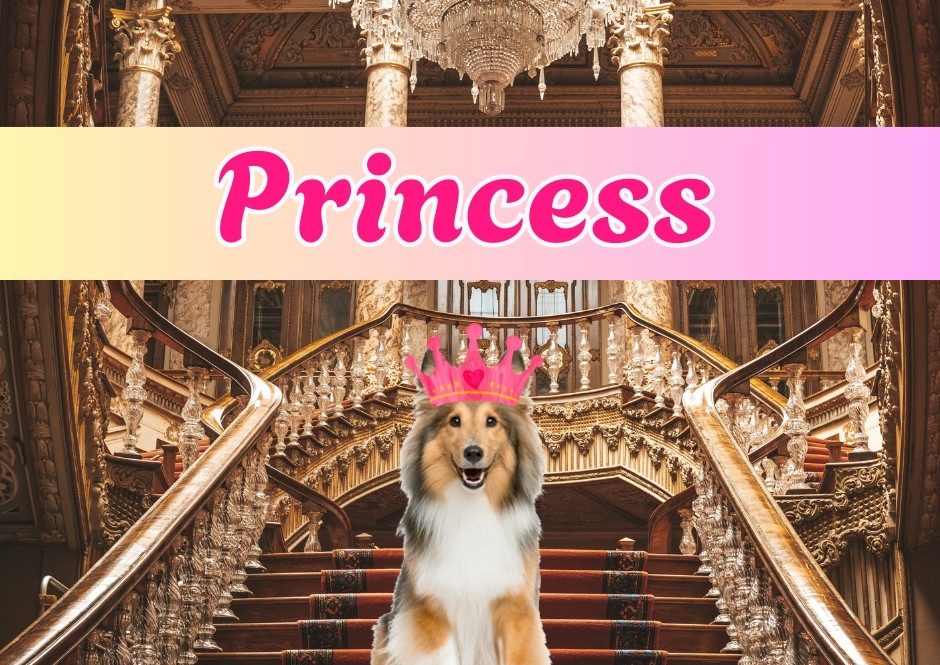 Princess dog cologne 100ml