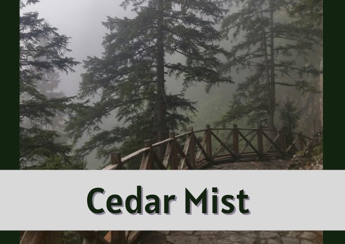 Cedar Mist Cologne 100ml