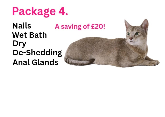 Cat Grooming Package 4. Short Coated Cats. Wet Bath