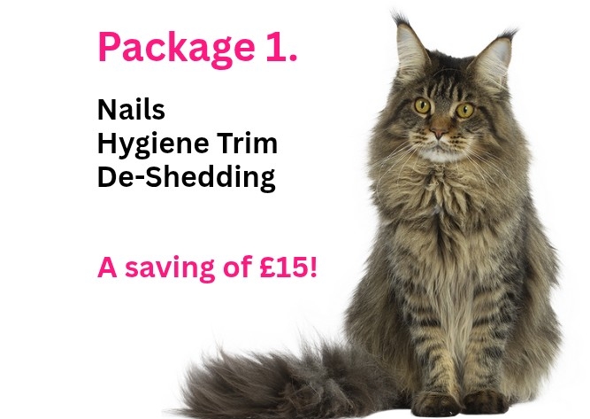 Cat Grooming Package 1. Long Coat Cat. No Bath