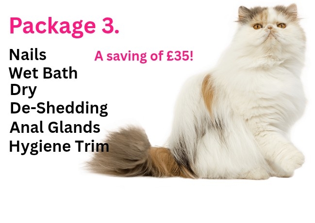 Cat Grooming Package 3. Long Coated Cats. Wet Bath